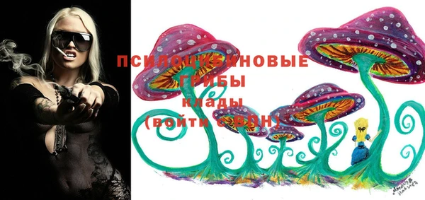 Альфа ПВП Волоколамск