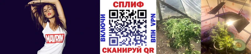 где купить наркотик  Самара  Каннабис THC 21% 